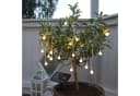 STAR TRADING LED-Solar-Lichterkette Globini 20-teilig Warmweiß Bild 1