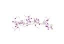 STAR TRADING LED-Lichterkette mit Timer und rosa Perlen Bild 2