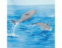 spirella Duschvorhang NEMO Delfin Motiv Acqua Blau Premium Textil Bild 1