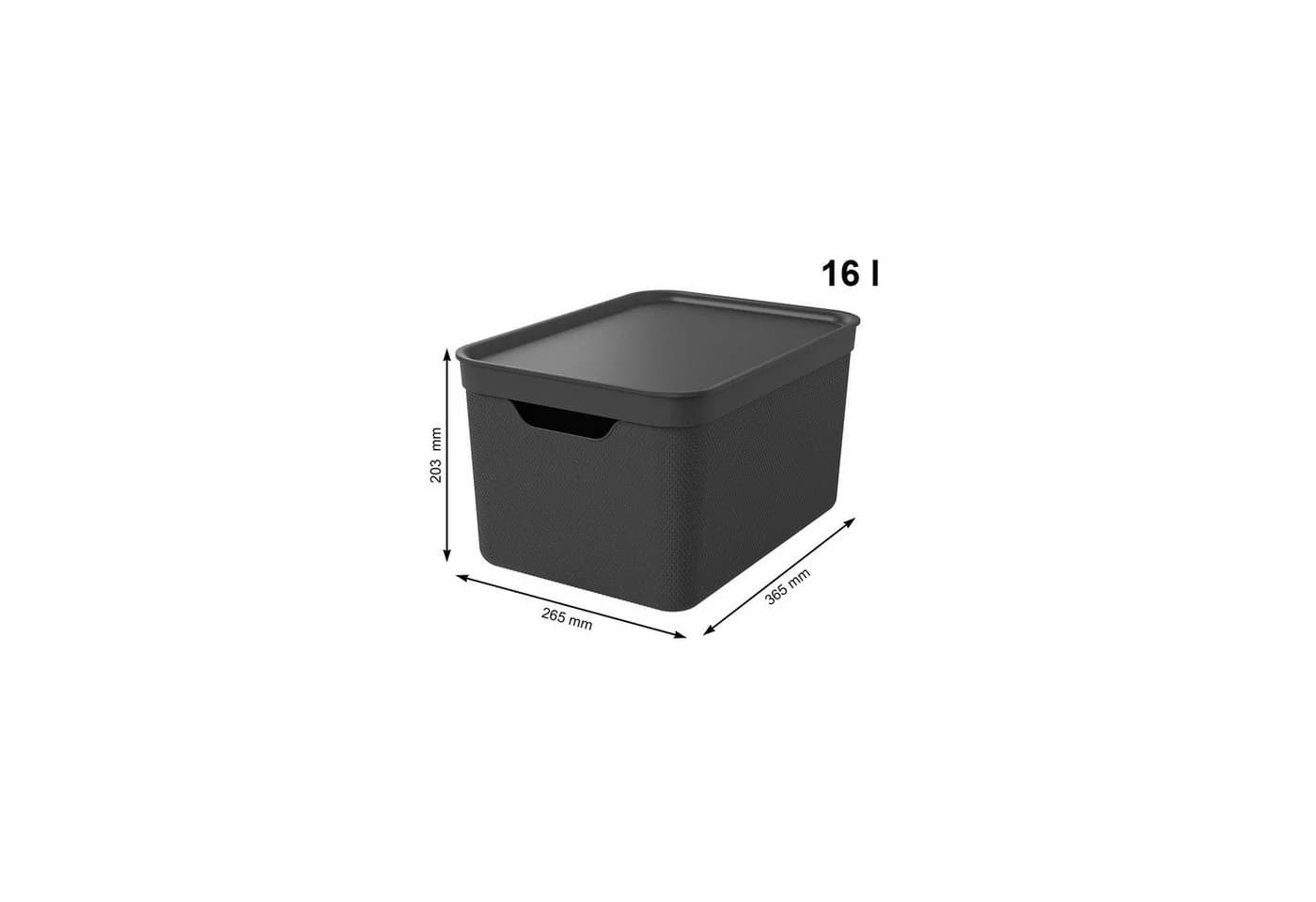 ROTHO Aufbewahrungsbox 3er-Set 16l mit Deckel Schwarz Kunststoff - Bild 4