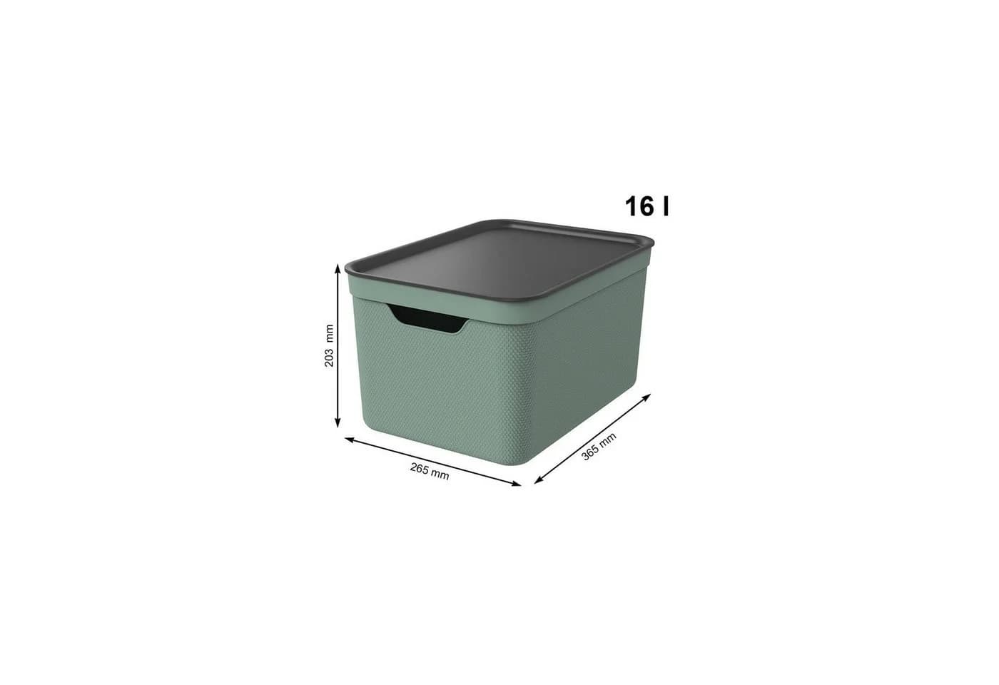 ROTHO Aufbewahrungsbox 3er-Set 16l mit Deckel Grün Kunststoff - Bild 4