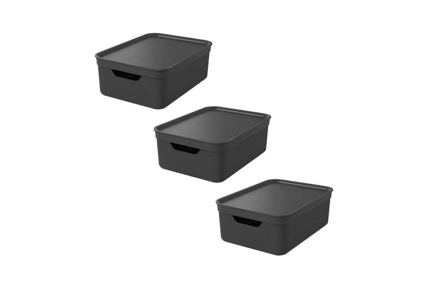 ROTHO Aufbewahrungsbox 3er Set 10L JIVE - Bild 2
