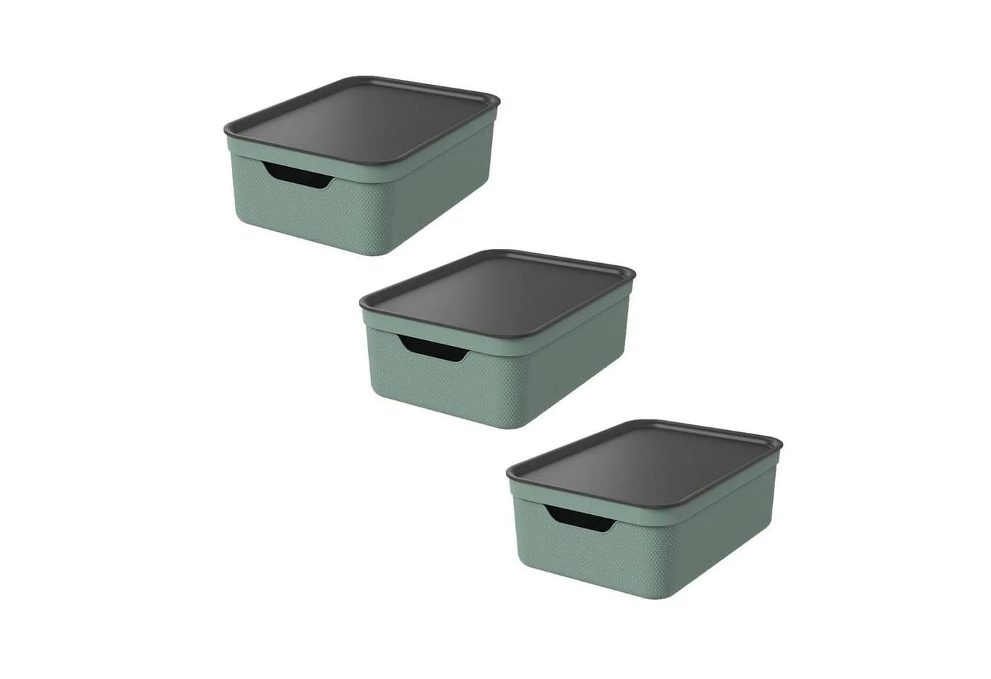 ROTHO Aufbewahrungsbox 3er Set JIVE 10L mit Deckel Grün - Bild 2
