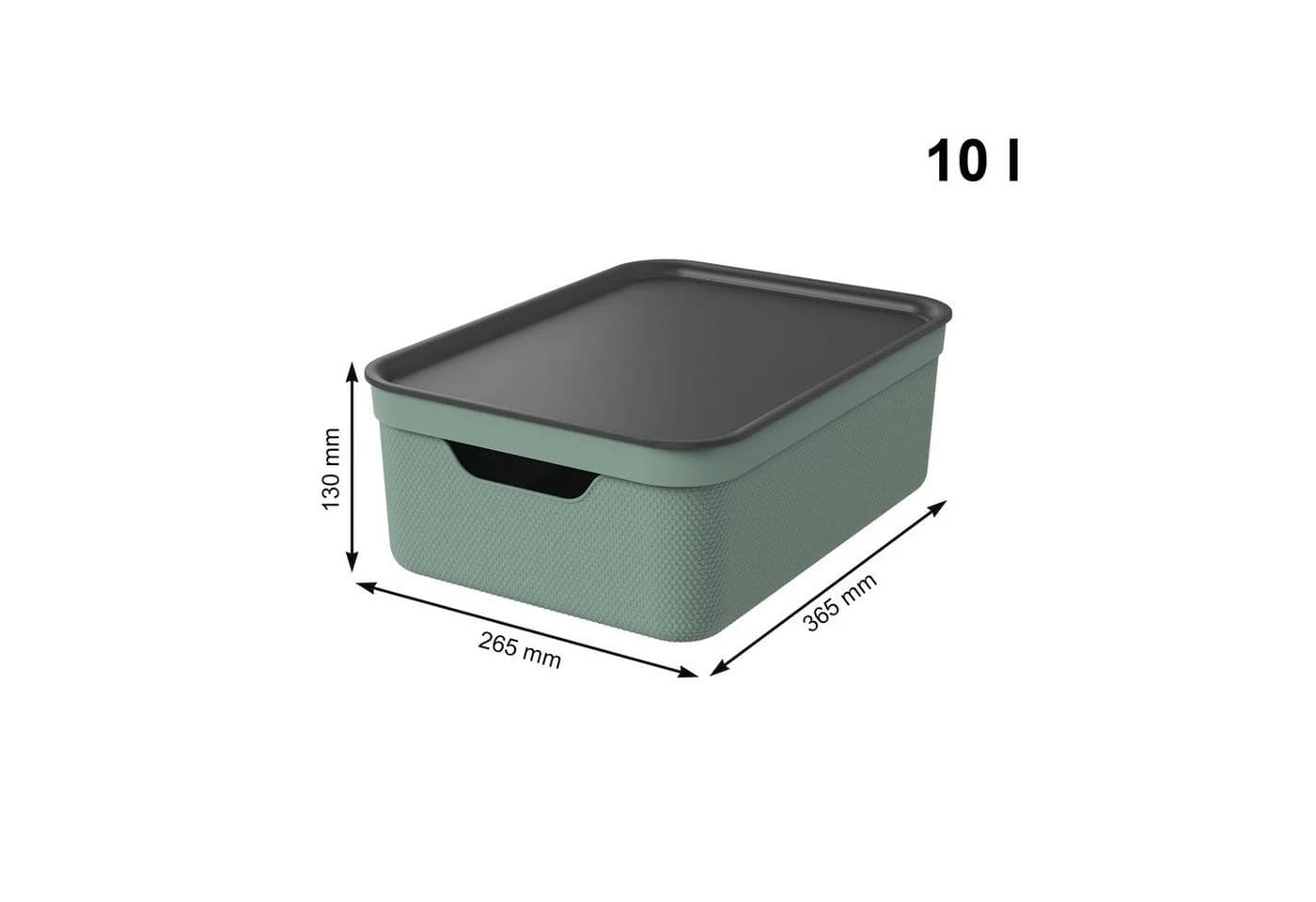 ROTHO Aufbewahrungsbox 3er Set JIVE 10L mit Deckel Grün - Bild 3