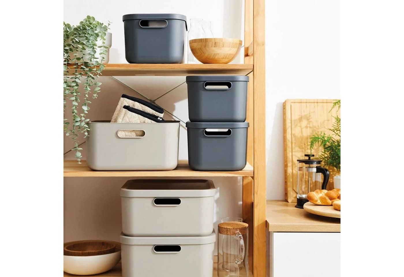 ROTHO Aufbewahrungsbox Albula Light 2er-Set 20l - Bild 5