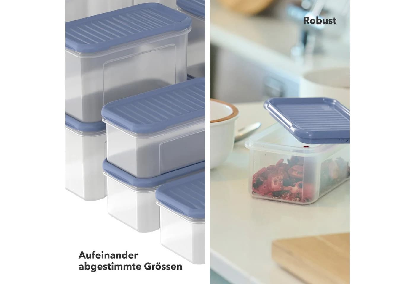 ROTHO Frischhaltedosen Set 18-teilig DOMINO luftdicht Kunststoff blau - Bild 3