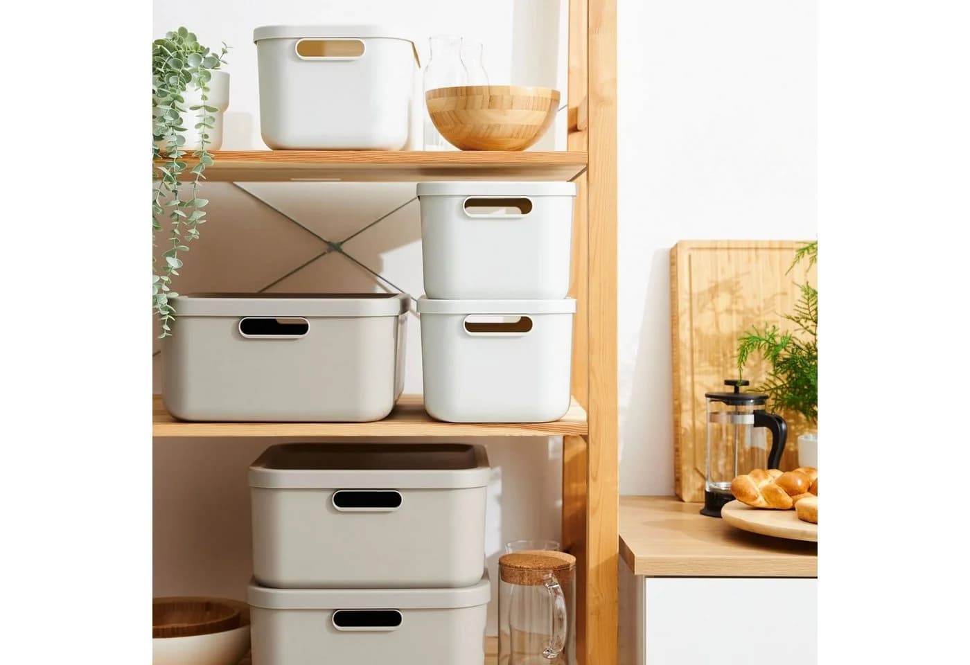 ROTHO Aufbewahrungsbox Albula Light 2er-Set 12l Kunststoff - Bild 4