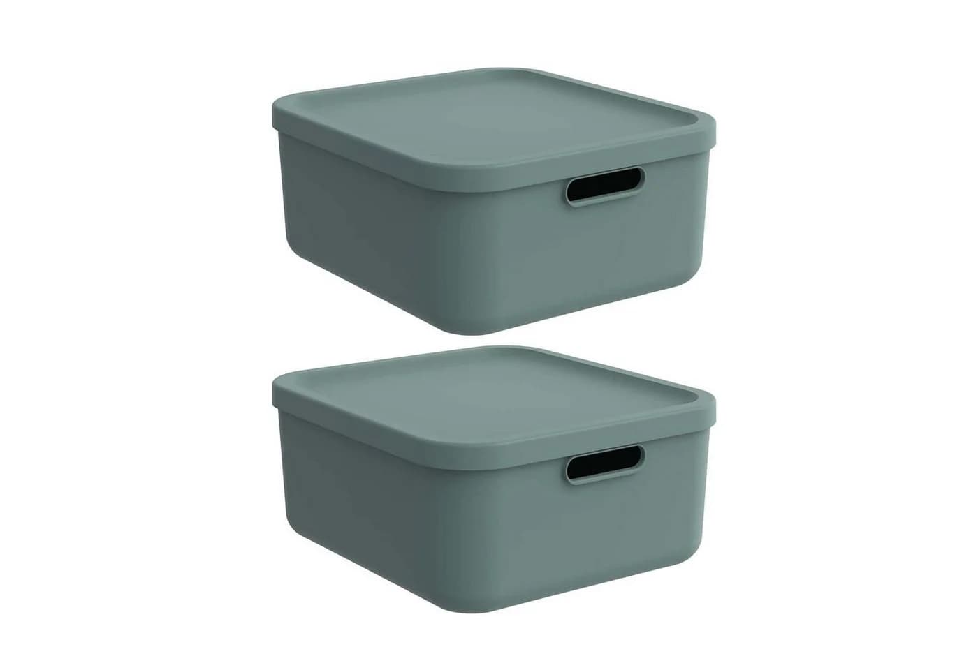 ROTHO Aufbewahrungsbox Albula Light 2er-Set 20l - Bild 2