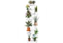 Rutaqian Blumenständer 8-stufig Metall Modern Weiß Bild 2