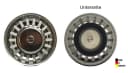 FRANKE Siebkorb 3,5 Zoll Original-Ersatzteil 133.0005.681 Bild 5
