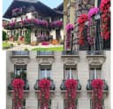 Kunstpflanze 2 Stück Künstlich Hängende Blumen Blauregen Efeublumen Glyzinien TUWENA Bild 4