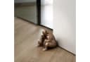 none Bild 1