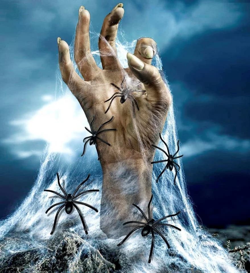 Widmann S.r.l. Dekoobjekt Halloween Spinnennetz mit 20 Spinnen Weiß - Bild 4