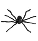 Widmann S.r.l. Dekoobjekt Halloween Dekoration 'Riesige Haarige Spinne' Schwarz Bild 1