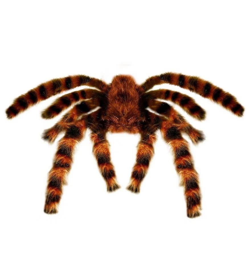 Widmann S.r.l. Dekoobjekt Halloween Vogelspinne Braun