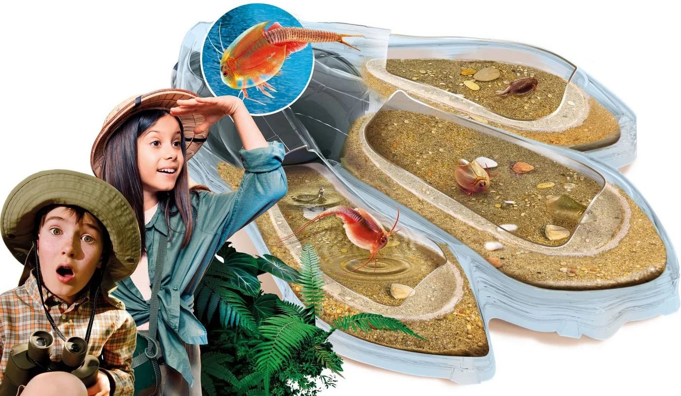 Clementoni Experimentierkasten Galileo Triops Maxi de Luxe - Bild 3