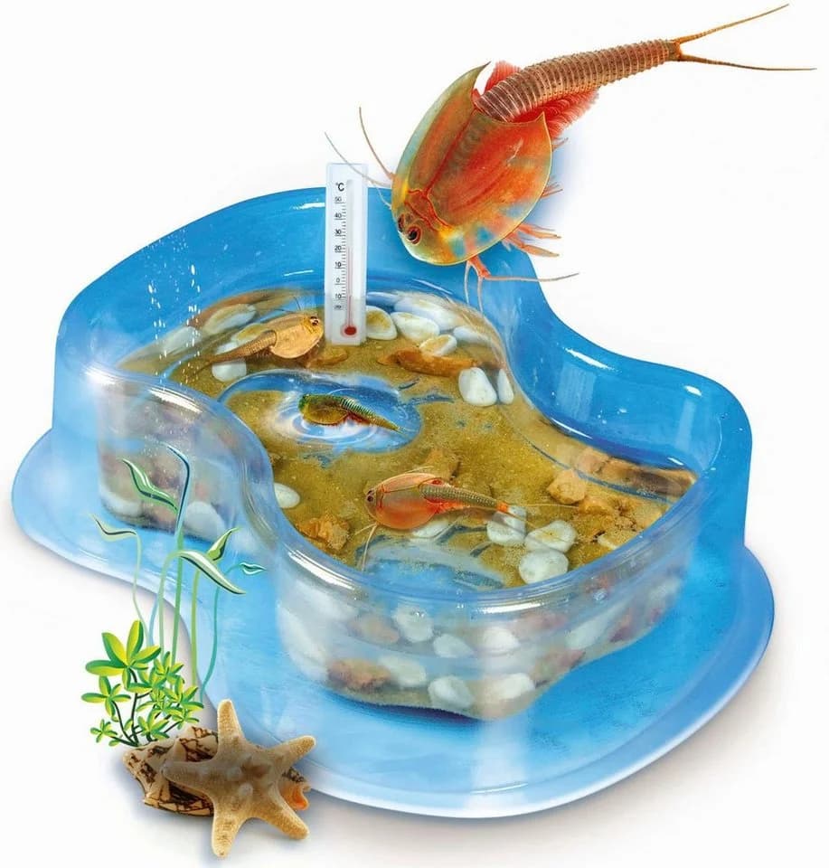 Clementoni Experimentierkasten Galileo Triops Starter-Set Made in Europe - Bild 3