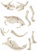 Clementoni Experimentierkasten Galileo Ausgrabungs-Set Triceratops Bild 1