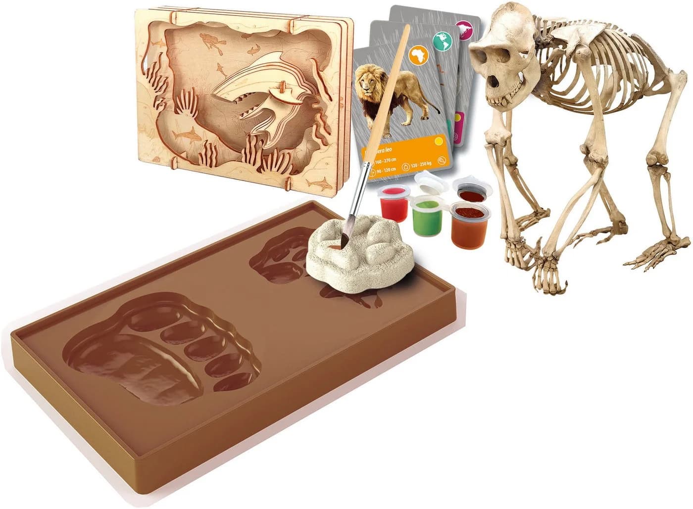 Clementoni® Experimentierkasten Galileo Lab Entdeckungs-Set Tiere auf unserer Erde