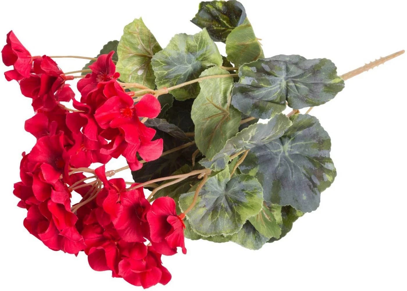 BOTANIC-HAUS Kunstblume Geranienbusch Rot Kunststoff - Bild 3