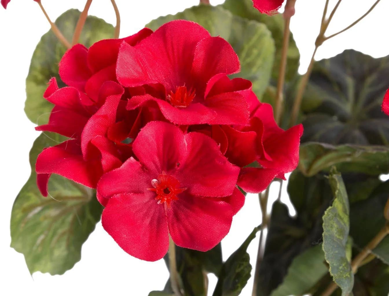 BOTANIC-HAUS Kunstblume Geranienbusch Rot Kunststoff - Bild 4