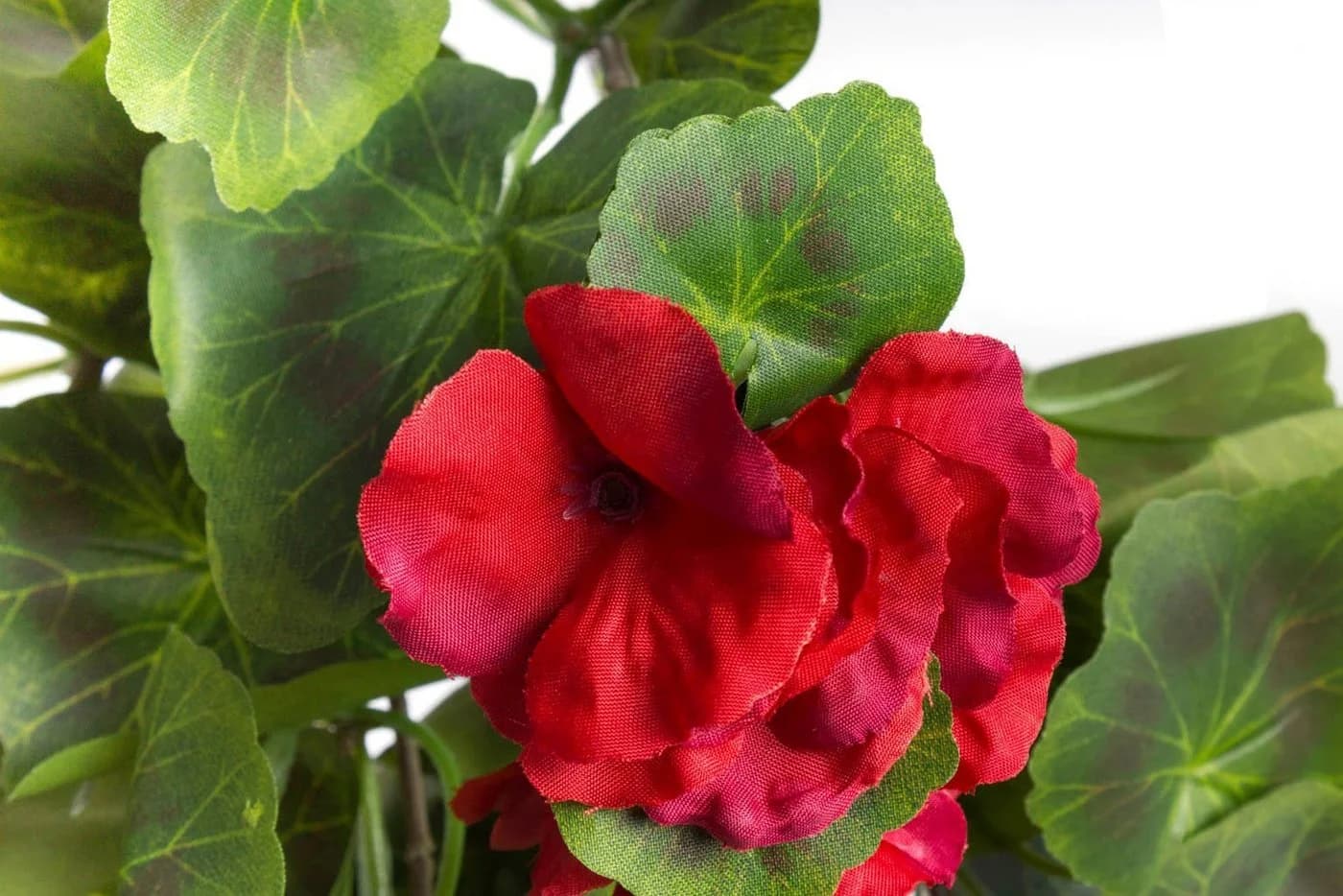 Botanic-Haus Kunstblume Geranienhängebusch Rot 60 cm - Bild 3