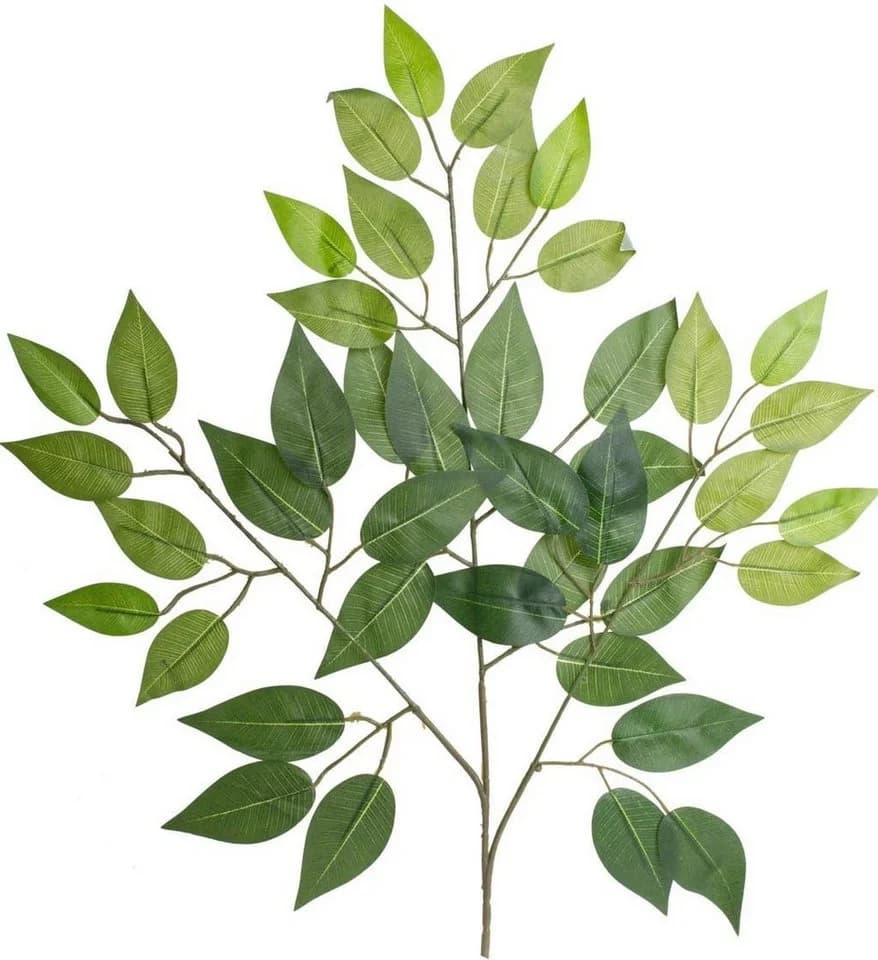 Botanic-Haus Kunstzweig Ficuszweig Grün 57 cm