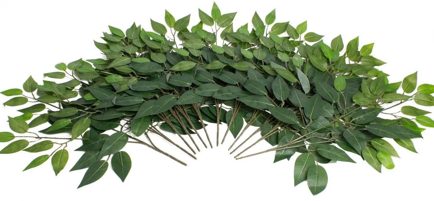Botanic-Haus Kunstzweig Ficuszweig Grün 57 cm - Bild 2