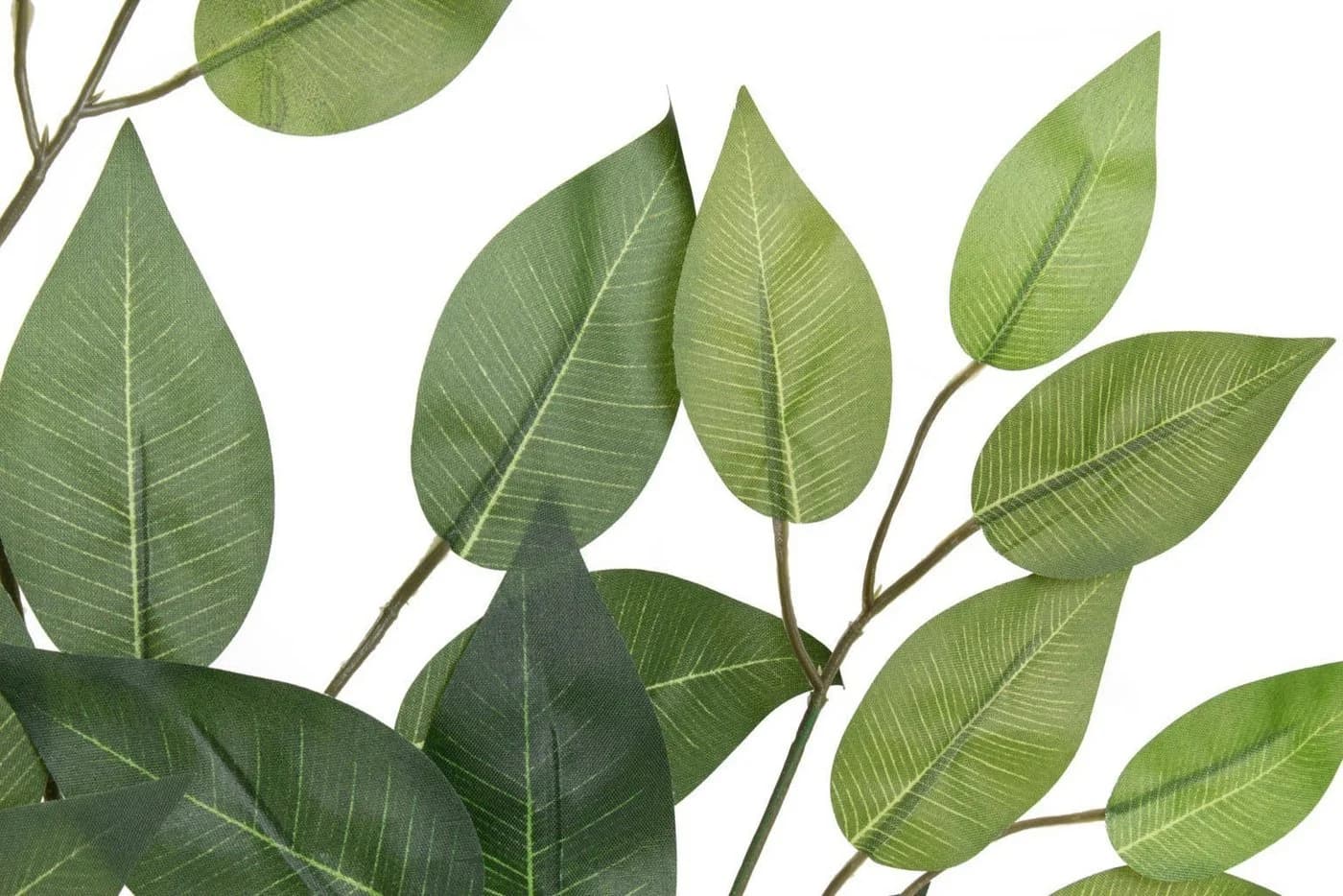 Botanic-Haus Kunstzweig Ficuszweig Grün 57 cm - Bild 3