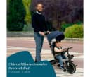 CHICCO TOY Trike 4 in 1 Dreirad Schwarz Bild 1