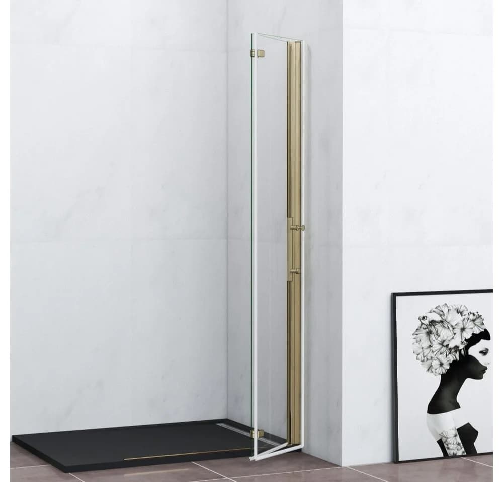 Duschparadies Walk-in-Dusche Scharniertür gebürstet Gold ESG Glas - Bild 5
