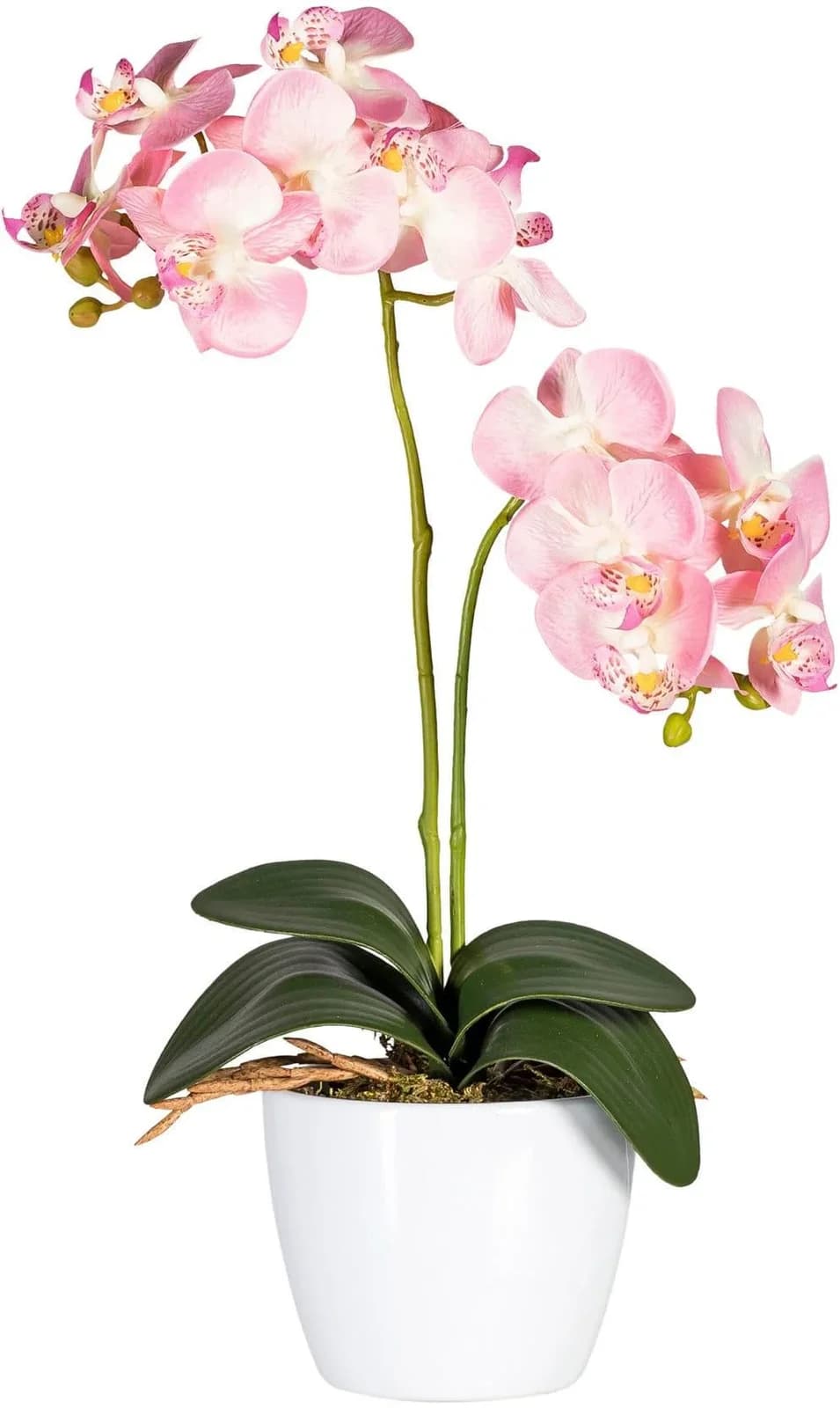 Gasper Kunstpflanze Orchidee Rosa mit Keramiktopf