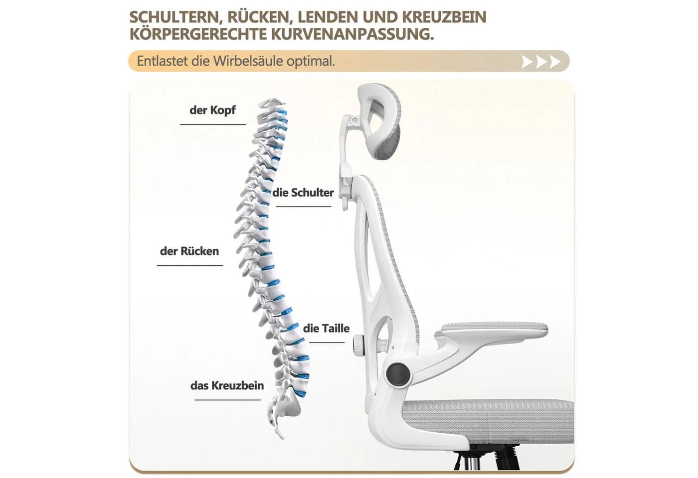 none - Bild 4