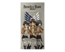 Cerda Strandtuch Attack on Titan 100% Baumwolle 70x140 cm Bild 2