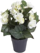 Kunstblume Begonienbusch 7 Stiele Beige Creme Weiß Kunststoff Bild 3