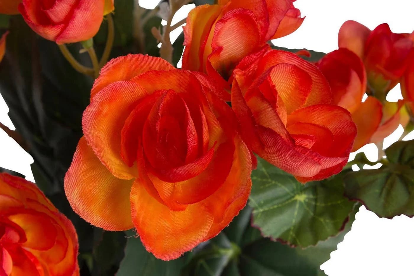 BOTANIC-HAUS Kunstblume Begonienbusch 7 Stiele Orange