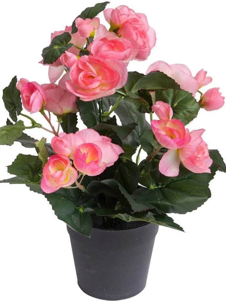 BOTANIC-HAUS Kunstblume Begonienbusch 7 Stiele Hellpink - Bild 2