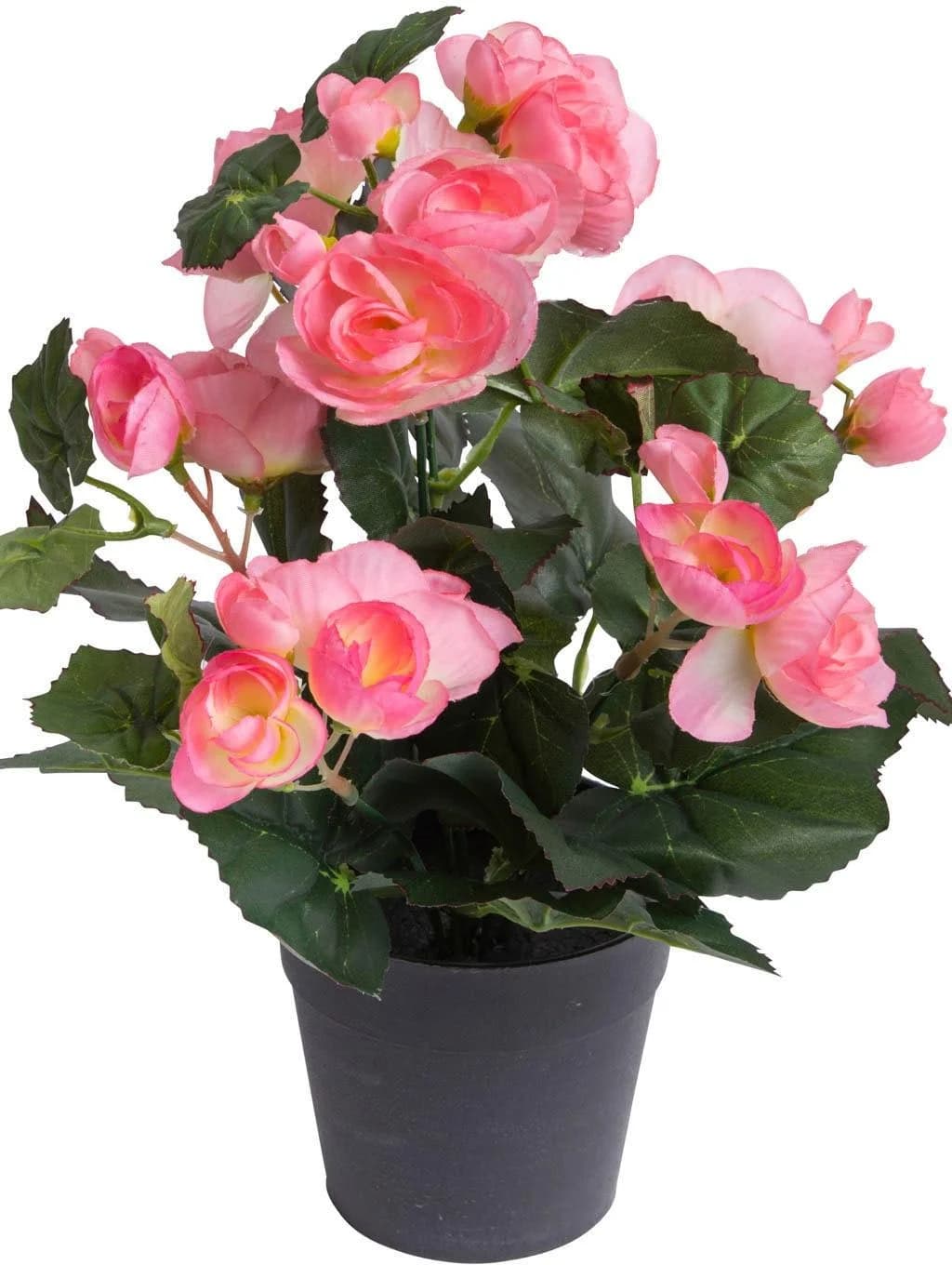 BOTANIC-HAUS Kunstblume Begonienbusch 7 Stiele Hellpink - Bild 3