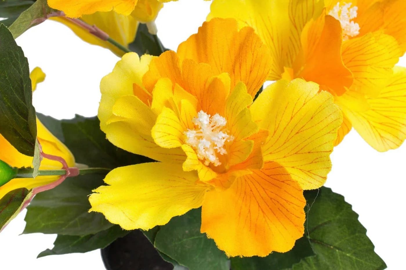 Botanic-Haus Kunstblume Hibiskus im Topf Gelb Schwarz