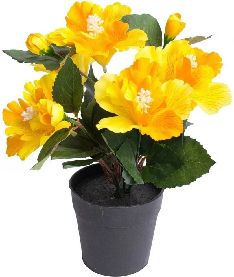 Botanic-Haus Kunstblume Hibiskus im Topf Gelb Schwarz - Bild 2
