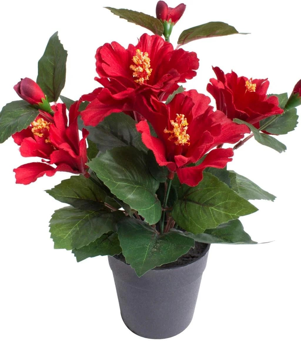 BOTANIC-HAUS Kunstblume Hibiskus im Topf Rot Schwarz