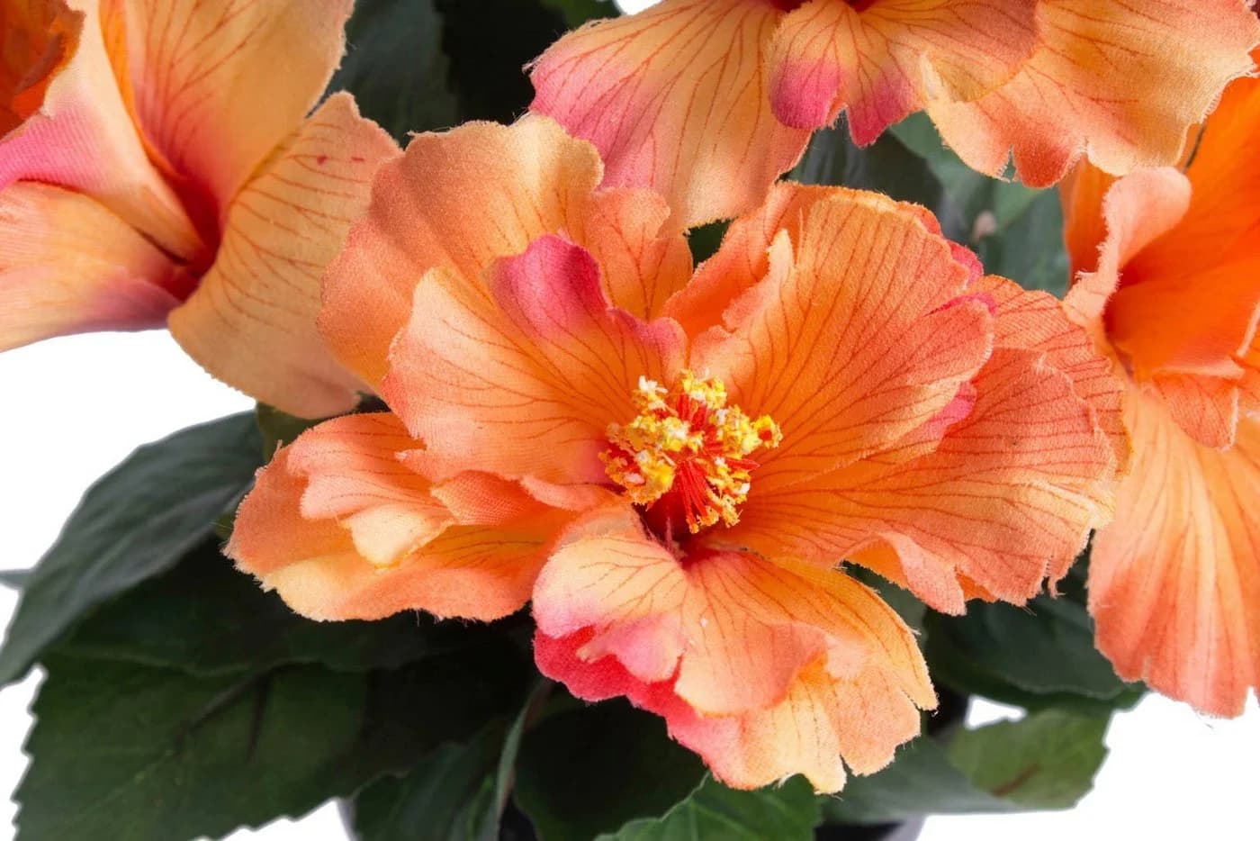 BOTANIC-HAUS Kunstblume Hibiskus im Topf Pfirsich-Lachs Schwarz