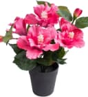 BOTANIC-HAUS Kunstblume Hibiskus im Topf Pink Bild 2