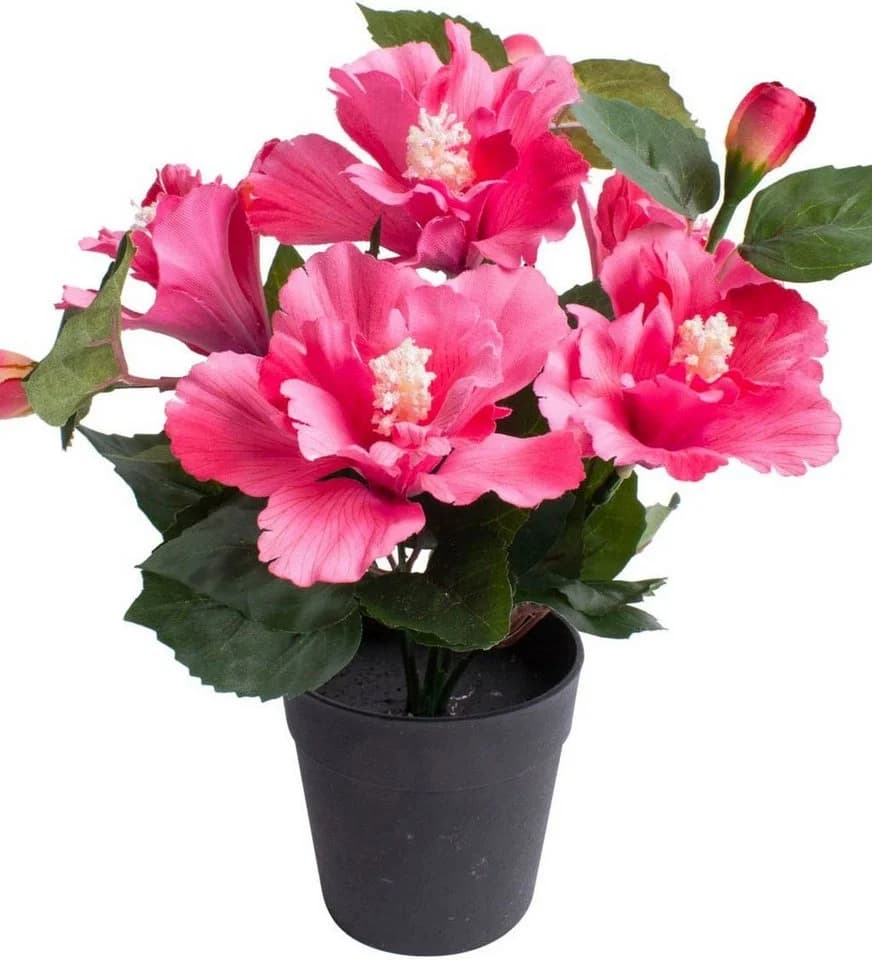 BOTANIC-HAUS Kunstblume Hibiskus im Topf Pink - Bild 2