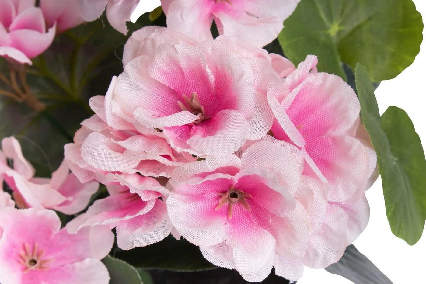 BOTANIC-HAUS Kunstblume Geranie mit 6 Stielen Beige Rosa