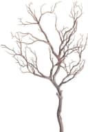 Botanic-Haus Kunstzweig Deko-Ast 96 cm Braun Bild 2