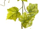 Künstliche Zimmerpflanze BOTANIC-HAUS 'Weinlaubgirlande' - 180cm Bild 3