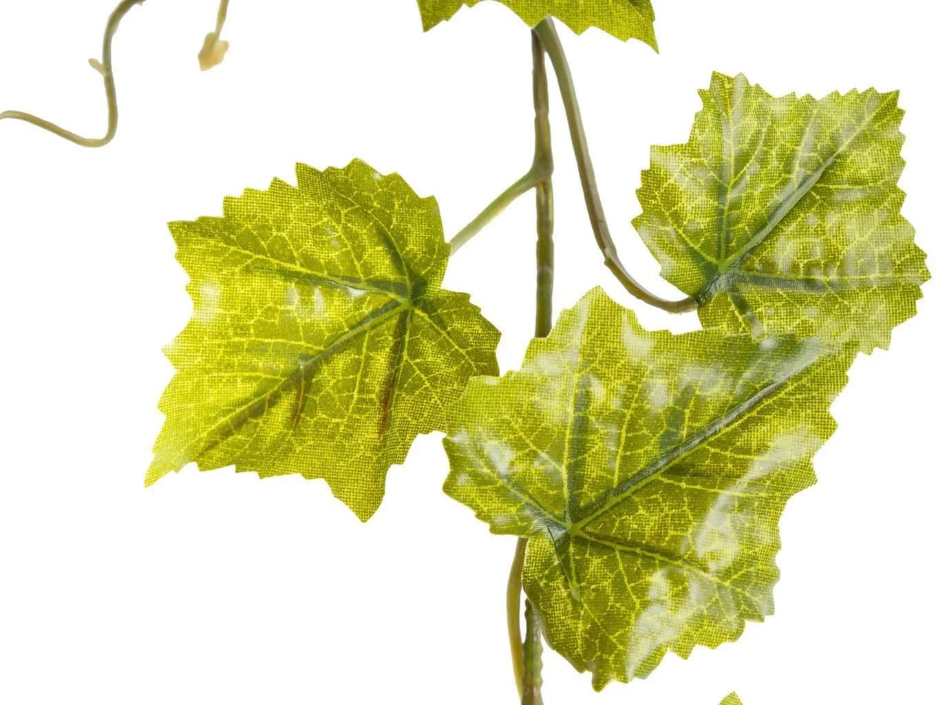 Künstliche Zimmerpflanze BOTANIC-HAUS 'Weinlaubgirlande' - 180cm - Bild 3