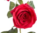Natürliche Kunstblume Rot aus Kunststoff Bild 3