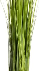 BOTANIC-HAUS Grasarrangement Selbststehend Grün 60cm Bild 1